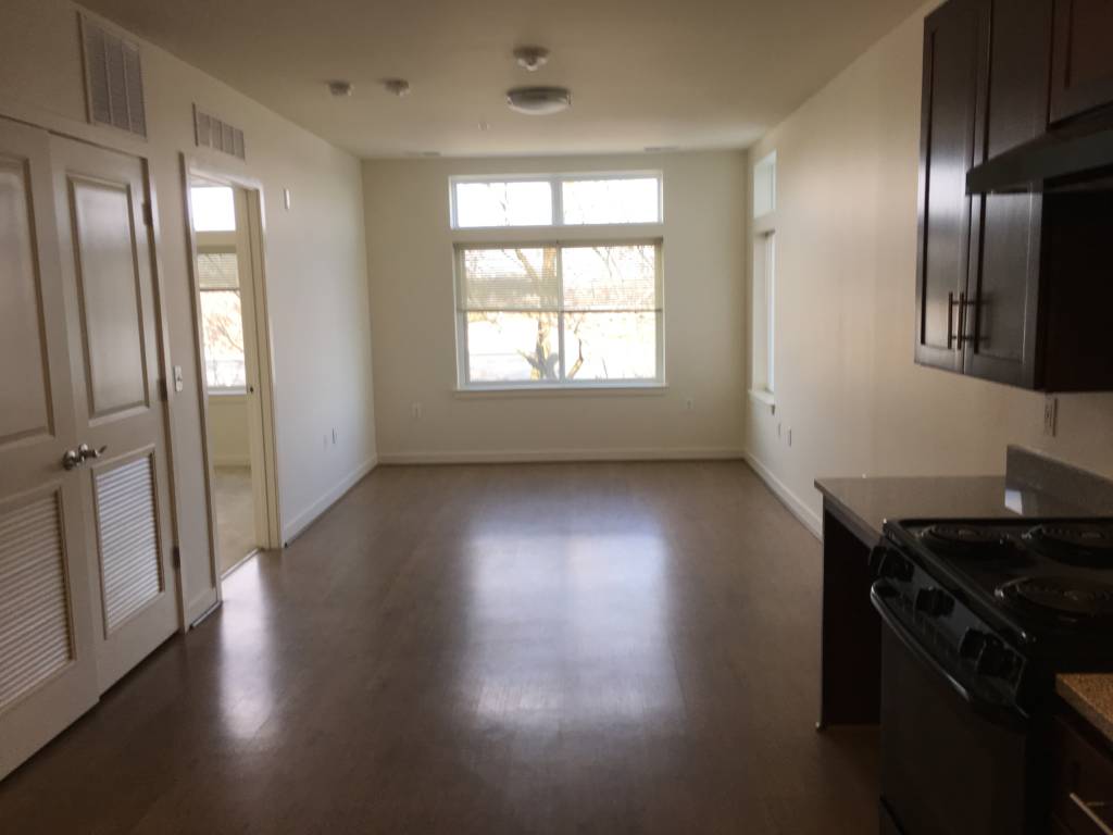 Color Photo of the interior of an unfurnished apartment with white walls, wood floors, and large windows.