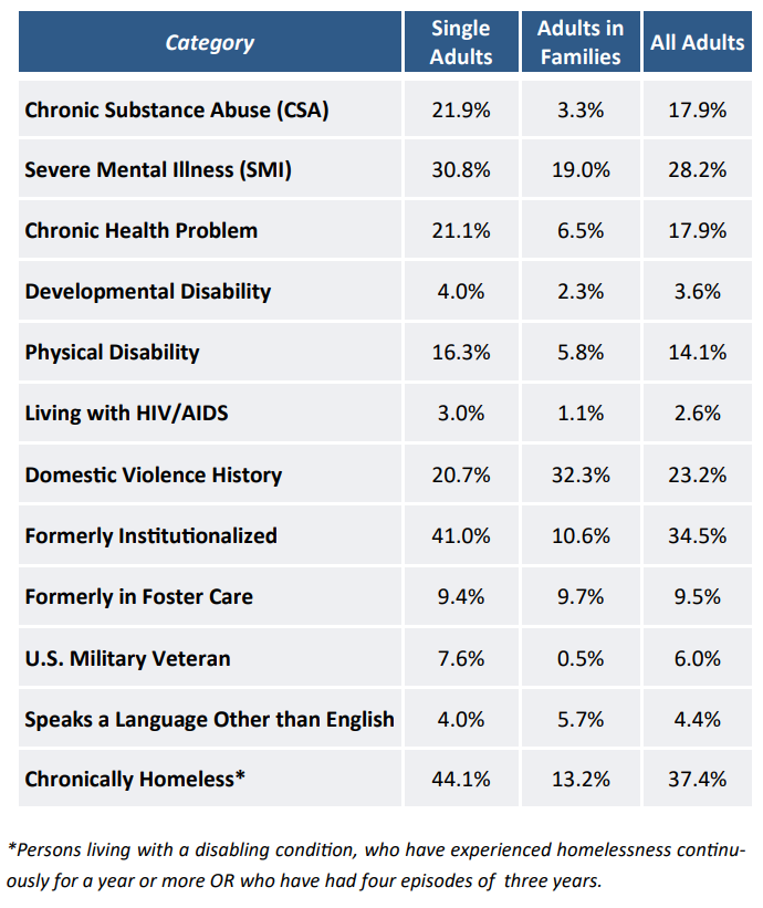 2019 Point in Time Count data showing subcategories of people experiencing homelessness