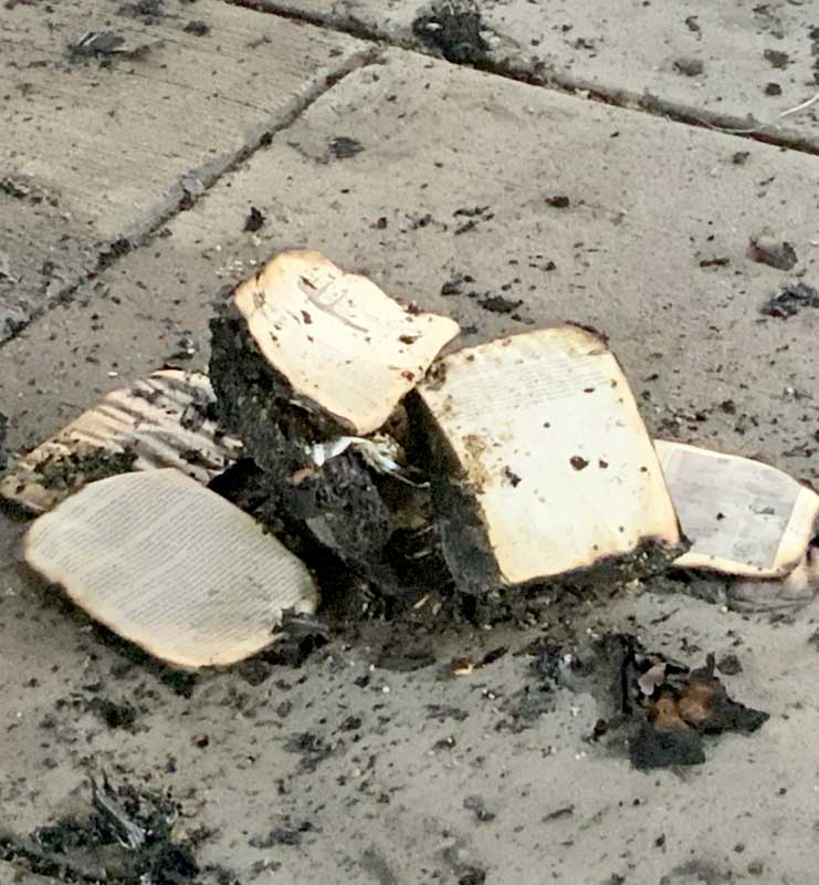 Photo of yellowed and charred book pages in a pile on the sidewalk.