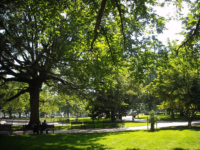 Photo of Lafayette Square