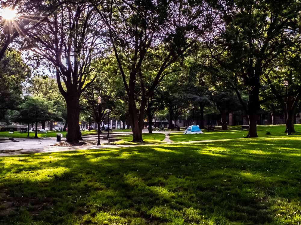 Expansive photo showing several tents throughout the park.