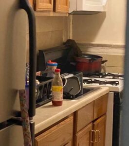 Photo of a rat in a Rapid Rehousing unit