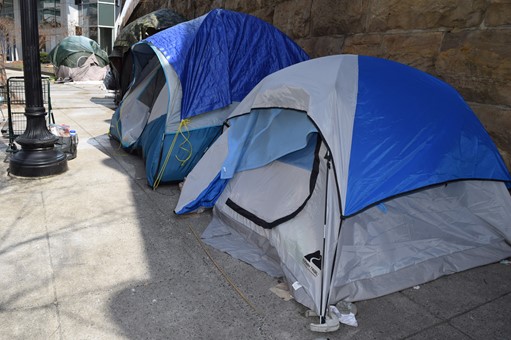 Photo showing two blue and gray tents side by side.