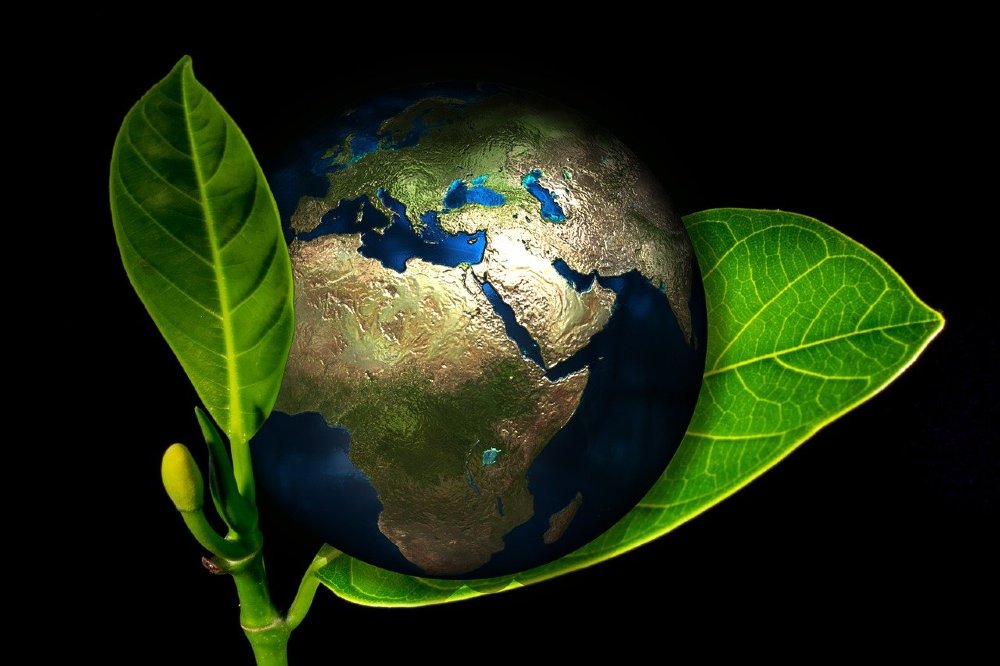 Artistic styling of the Earth nestled between green leaves