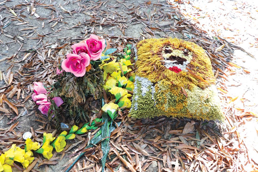 Flowers and a lion image adorn the ground