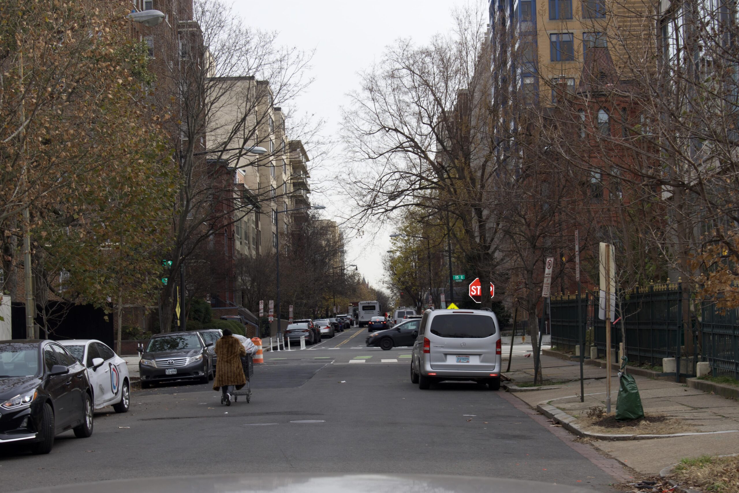 A woman in a mink coat pushes a shopping cart down the street.